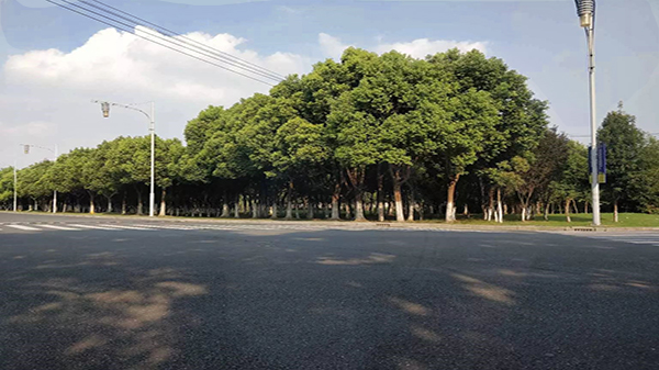 草莓视频IOS在线观看治安監控