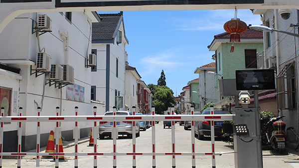 草莓视频IOS在线观看老小區